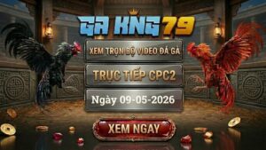 Xem Full Clip Đá Gà Bồ CPC2 Ngày 09/05/2026
