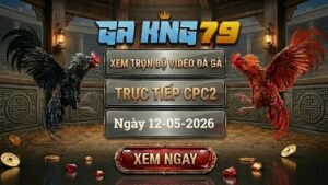Xem Full Clip Đá Gà Bồ CPC2 Ngày 12/05/2026