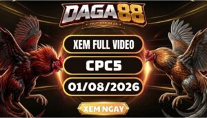 Xem Full Video Đá Gà CPC5 Ngày 01/08/2026 Tại DAGA88