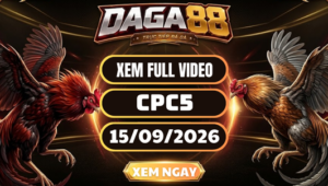 Xem Full Video Đá Gà CPC5 Ngày 15/09/2026 Trên DAGA88
